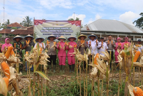 Kapolres Pemalang pimpin panen jagung perdana di Randudongkal Kapolres Pemalang pimpin panen jagung perdana di Randudongkal