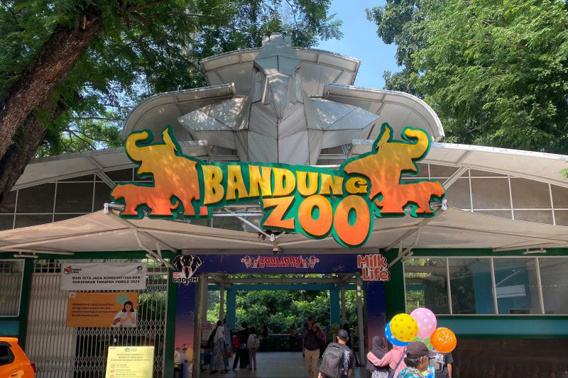 Tata Kelola Bandung Zoo sempat membaik sebelum tersangkut korupsi