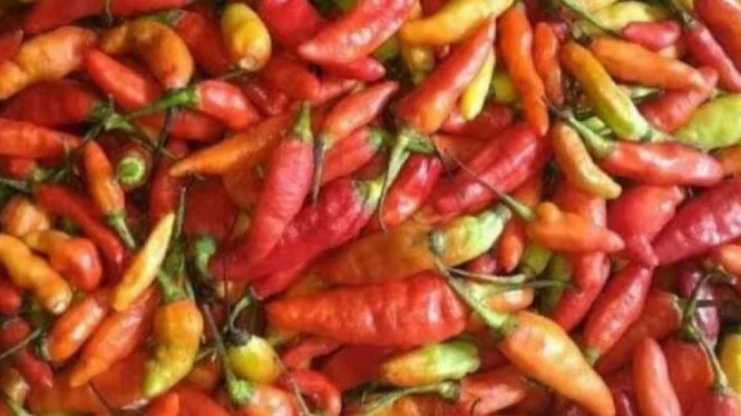 Bapanas: Harga cabai rawit Rp46.767/kg, bawang merah Rp47.100/kg Bapanas: Harga cabai rawit Rp46.767/kg, bawang merah Rp47.100/kg