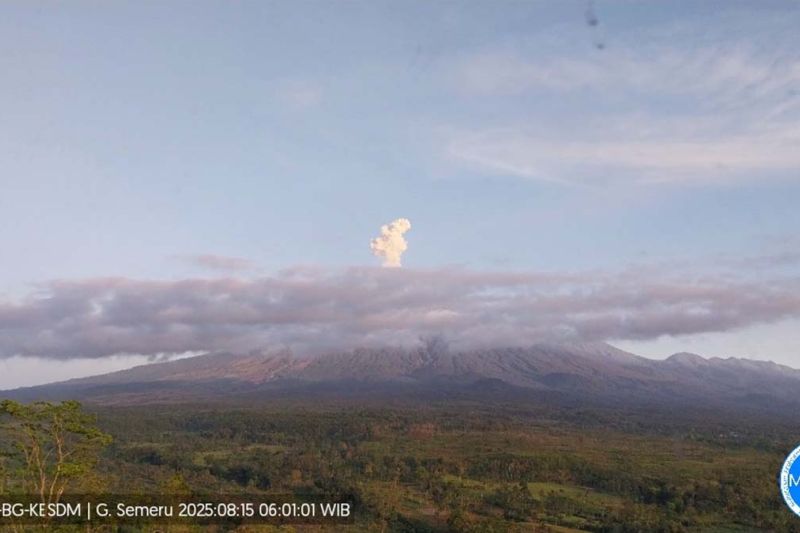 Semeru empat kali erupsi dengan tinggi letusan hingga 900 meter Semeru empat kali erupsi dengan tinggi letusan hingga 900 meter
