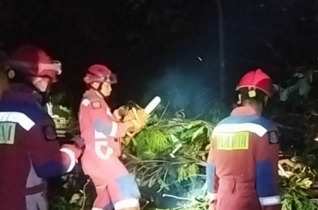 Tujuh pohon tumbang saat hujan deras dan angin kencang di Jaktim Tujuh pohon tumbang saat hujan deras dan angin kencang di Jaktim