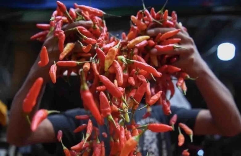 Bapanas: Harga cabai rawit Rp39.545/kg, bawang merah Rp46.700/kg Bapanas: Harga cabai rawit Rp39.545/kg, bawang merah Rp46.700/kg