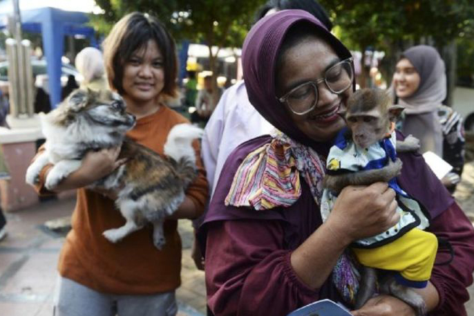 Ajak bermain hewan peliharaan bisa cegah anabul stress Ajak bermain hewan peliharaan bisa cegah anabul stress