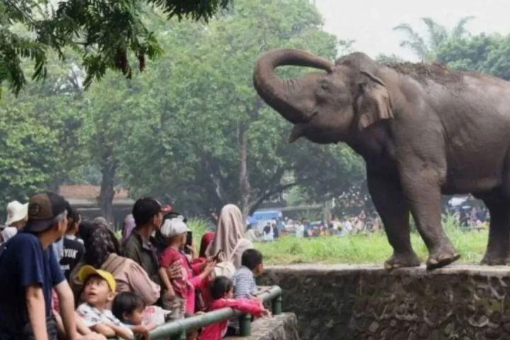 Tarif masuk Ragunan dipastikan tetap terjangkau meski ada kenaikan Tarif masuk Ragunan dipastikan tetap terjangkau meski ada kenaikan