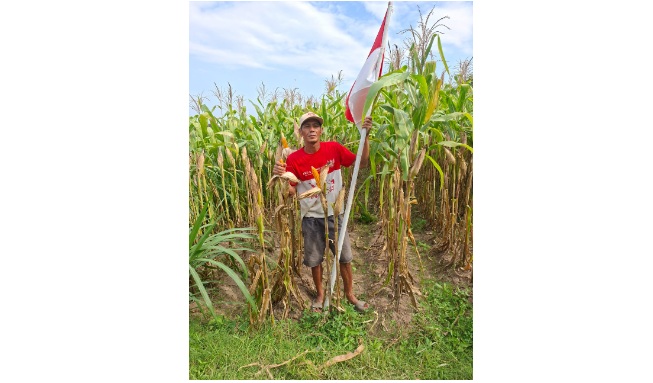 Petani nikmati kemerdekaan, Pemerintah hadir dengan kebijakan pro petani Petani nikmati kemerdekaan, Pemerintah hadir dengan kebijakan pro petani