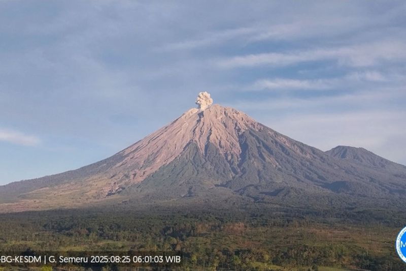Gunung Semeru kembali erupsi dengan letusan setinggi 700 meter Gunung Semeru kembali erupsi dengan letusan setinggi 700 meter