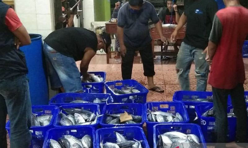 Nelayan Bontang harapkan industri pengalengan stabilkan harga ikan Nelayan Bontang harapkan industri pengalengan stabilkan harga ikan