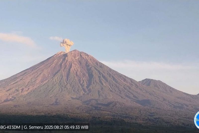 Gunung Semeru erupsi empat kali dengan tinggi letusan hingga 1 km Gunung Semeru erupsi empat kali dengan tinggi letusan hingga 1 km
