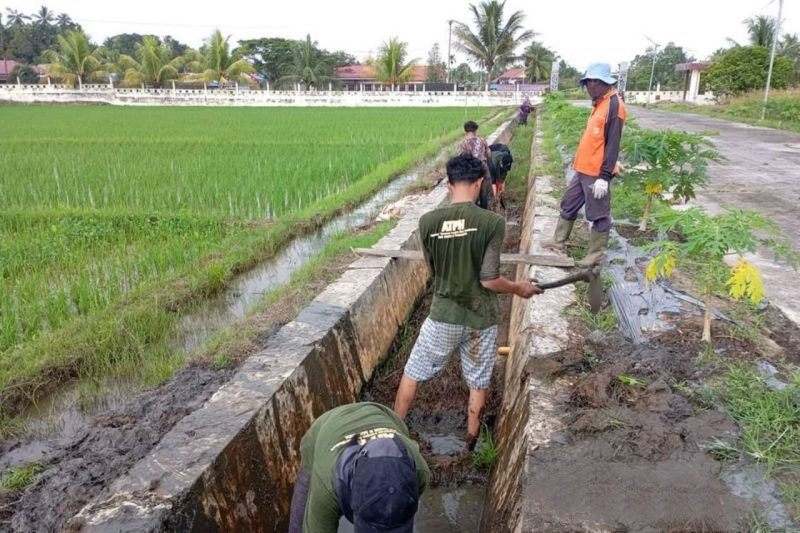 BRMP Kaltim pacu pemuda jadi pengusaha sektor pertanian modern