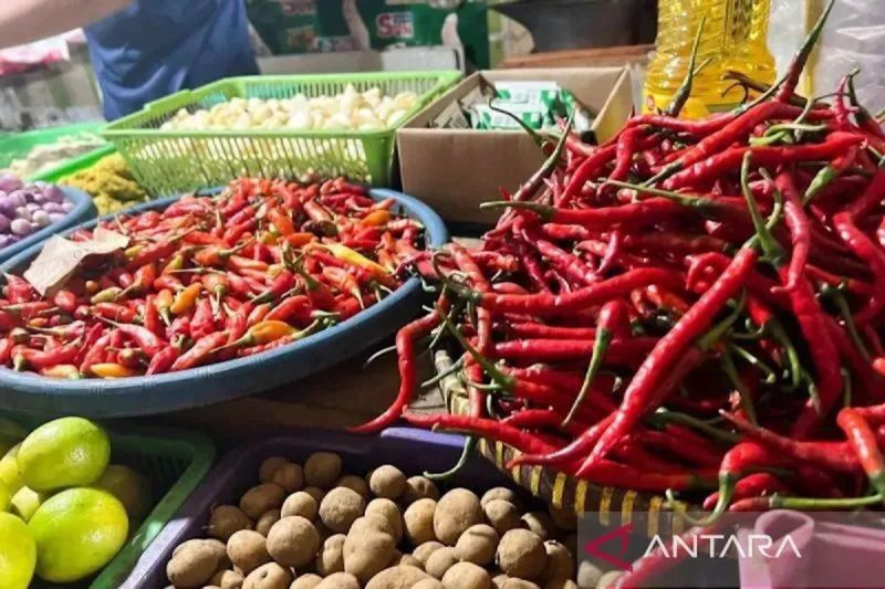Bapanas: Harga cabai rawit Rp49.173/kg, bawang merah Rp49.956/kg Bapanas: Harga cabai rawit Rp49.173/kg, bawang merah Rp49.956/kg