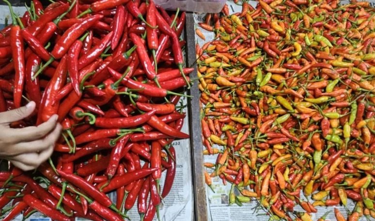 Bapanas: Harga cabai rawit Rp41.587/kg, bawang merah Rp44.815/kg