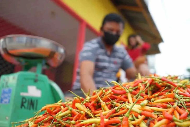 Bapanas: Harga cabai rawit Rp40.657/kg, bawang merah Rp45.992/kg Bapanas: Harga cabai rawit Rp40.657/kg, bawang merah Rp45.992/kg