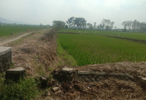 Proyek irigasi Desa Tegalsari Weru diduga fiktif diusut Kejari Sukoharjo Proyek irigasi Desa Tegalsari Weru diduga fiktif diusut Kejari Sukoharjo