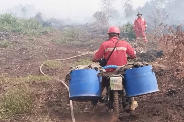 Kemenhut kerahkan Manggala Agni padamkan karhutla di Aceh Selatan Kemenhut kerahkan Manggala Agni padamkan karhutla di Aceh Selatan