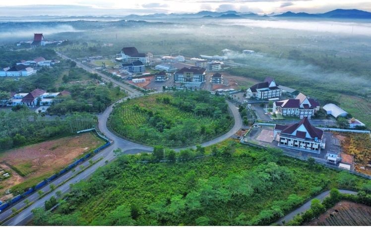 Dishut Kalsel kembangkan tanaman eucalyptus perkuat ekosistem hijau Dishut Kalsel kembangkan tanaman eucalyptus perkuat ekosistem hijau