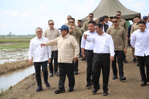 Presiden Prabowo pimpin tanam padi serentak di 14 Provinsi