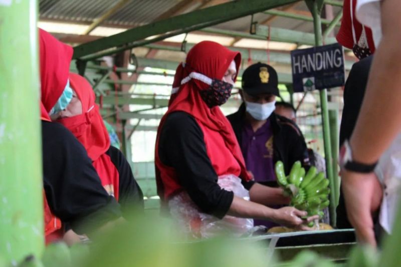 Pemkot Bandarlampung catat dua aduan PHK sejak awal Januari 2025