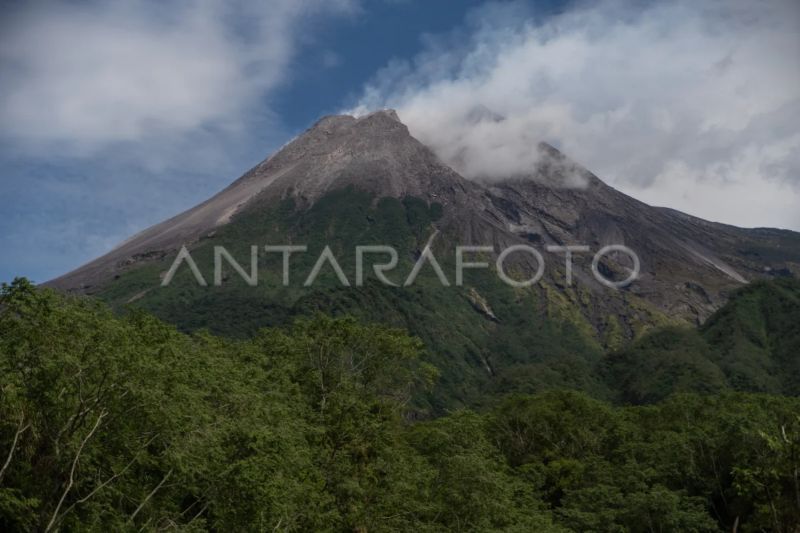 Merapi luncurkan tujuh guguran lava hingga 1,8 km ke tiga sungai Merapi luncurkan tujuh guguran lava hingga 1,8 km ke tiga sungai