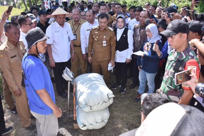 Realisasi serapan panen padi petani Sukoharjo tertinggi se-Surakarta Realisasi serapan panen padi petani Sukoharjo tertinggi se-Surakarta