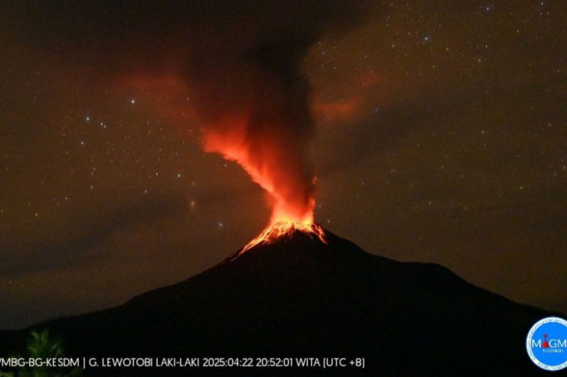 Gunung Lewotobi Laki-laki alami kegempaan tremor terus menerus Gunung Lewotobi Laki-laki alami kegempaan tremor terus menerus