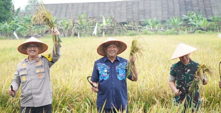 Bupati optimistis Langkat akan jadi penopang utama swasembada pangan Bupati optimistis Langkat akan jadi penopang utama swasembada pangan