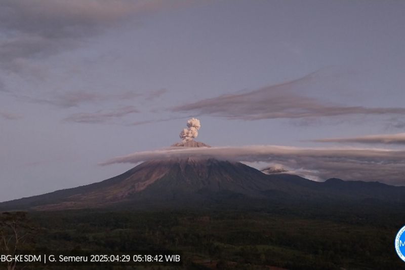 Gunung Semeru erupsi dengan letusan setinggi 900 meter di atas puncak Gunung Semeru erupsi dengan letusan setinggi 900 meter di atas puncak