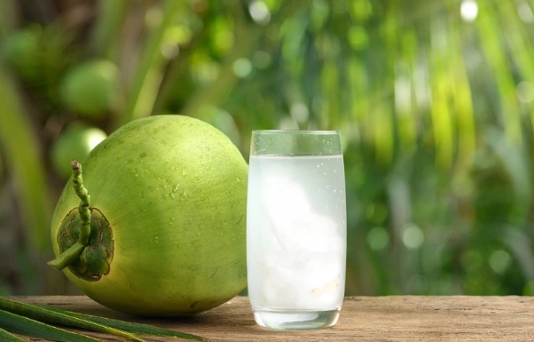 Minum air kelapa bisa mendatangkan manfaat bagi ibu hamil Minum air kelapa bisa mendatangkan manfaat bagi ibu hamil