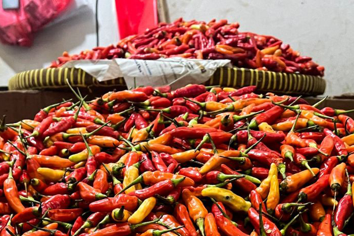 Bapanas: Harga cabai rawit Rp82.000/kg, bawang merah Rp43.667/kg Bapanas: Harga cabai rawit Rp82.000/kg, bawang merah Rp43.667/kg