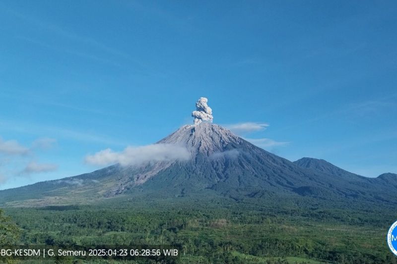 Gunung Semeru erupsi dengan letusan setinggi 900 meter di atas puncak Gunung Semeru erupsi dengan letusan setinggi 900 meter di atas puncak