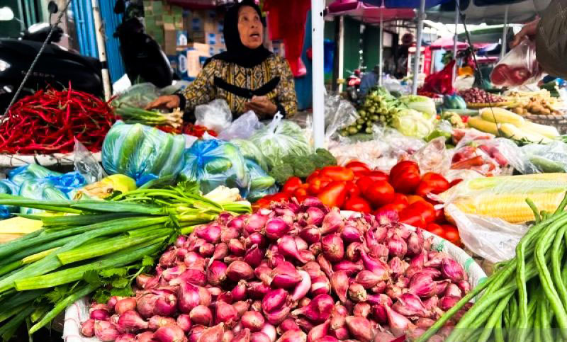 Kementan: Pasokan aman dan harga bawang merah berangsur normal Kementan: Pasokan aman dan harga bawang merah berangsur normal