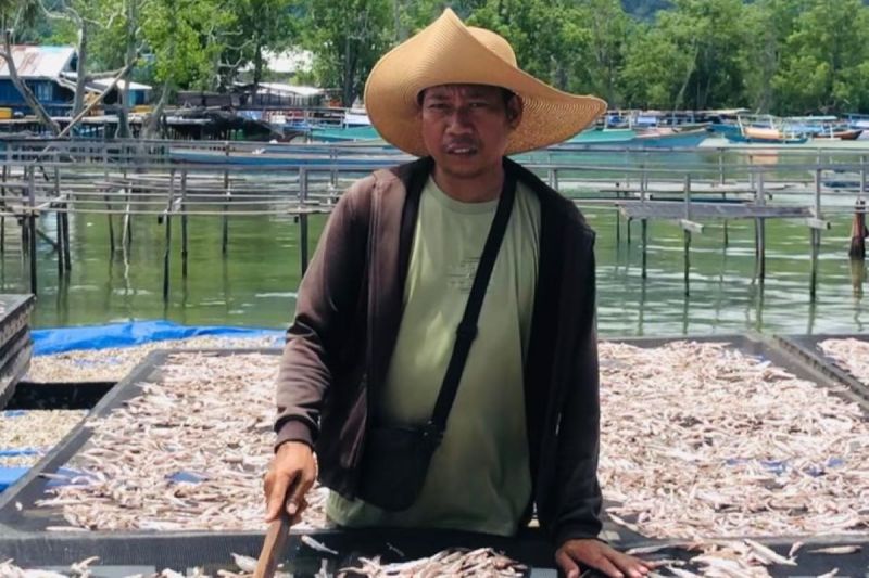 Ikan Puri kering Kaimana tembus pasar Surabaya dan Kupang