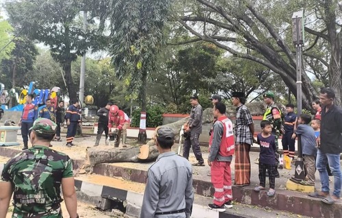 Kemensos cari ahli waris 3 korban tewas karena pohon tumbang