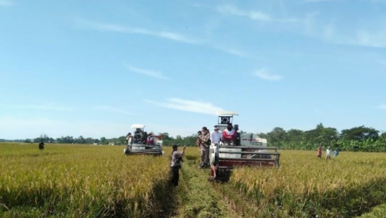 Pemkab Purwakarta targetkan peningkatan surplus gabah