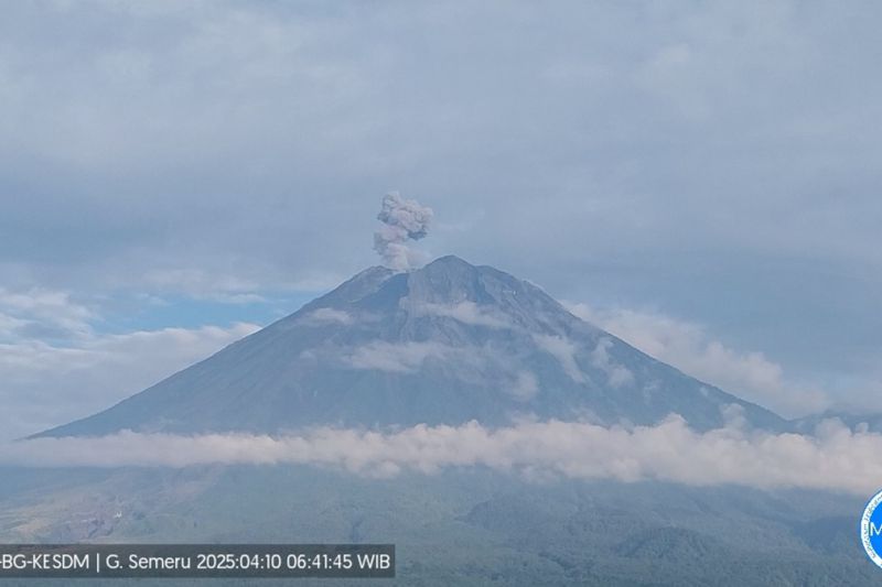 Gunung Semeru lima kali erupsi dengan tinggi letusan hingga 800 meter Gunung Semeru lima kali erupsi dengan tinggi letusan hingga 800 meter