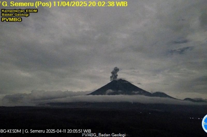 Gunung Semeru erupsi dengan tinggi letusan 800 meter di atas puncak