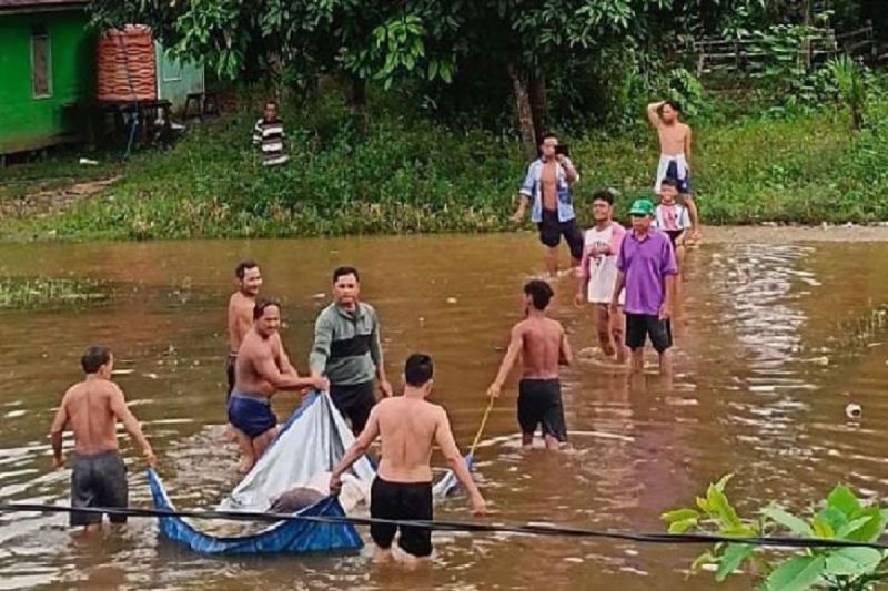 Jenazah korban banjir ditemukan mengambang di Murung Raya Kaltim Jenazah korban banjir ditemukan mengambang di Murung Raya Kaltim