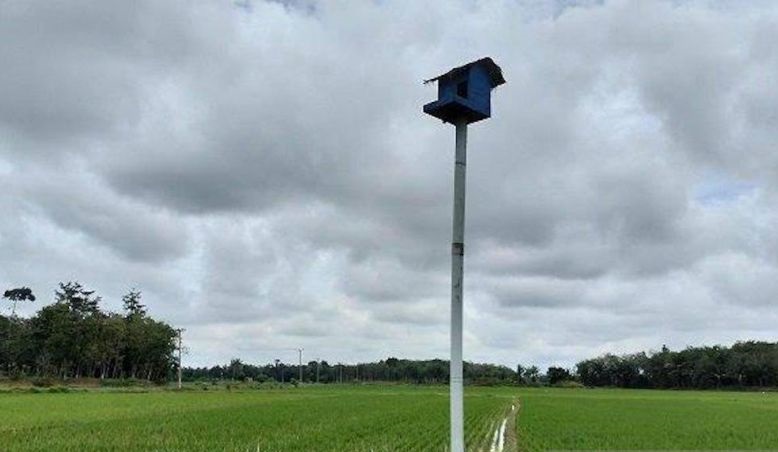 Pemberian burung hantu dari Presiden dukung teknologi IPHA Pemberian burung hantu dari Presiden dukung teknologi IPHA
