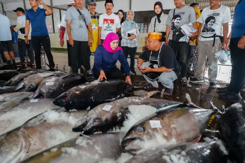 Khofifah ajak nelayan Jatim terapkan konsep ekonomi biru Khofifah ajak nelayan Jatim terapkan konsep ekonomi biru