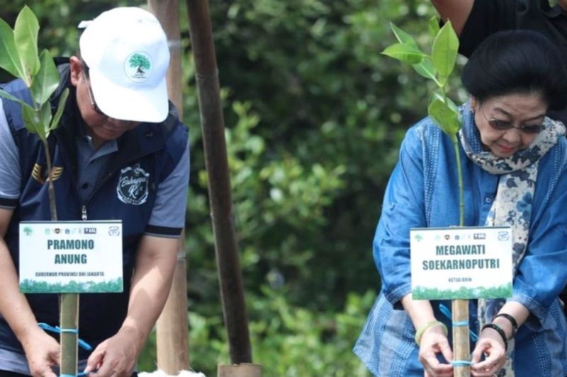 Pramono bersama Megawati tanam mangrove di Jakarta Utara