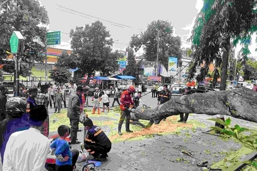 Kemensos santuni 22 korban pohon tumbang di Pemalang