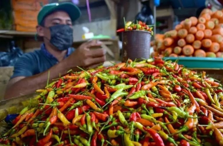 Harga pangan Jumat, cabai rawit Rp92.600/kg, bawang merah Rp47.000/kg Harga pangan Jumat, cabai rawit Rp92.600/kg, bawang merah Rp47.000/kg