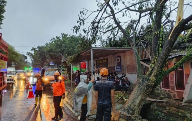 Sejumlah rumah dan Kantor Koramil di Jember rusak akibat angin kencang Sejumlah rumah dan Kantor Koramil di Jember rusak akibat angin kencang
