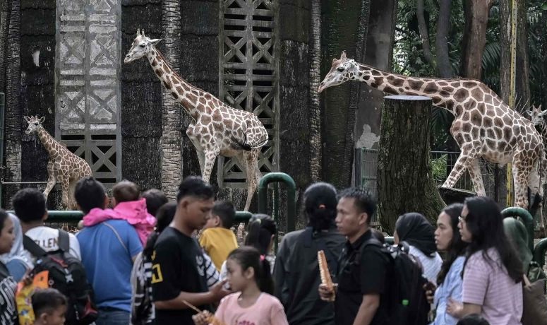 Kenali tanda bahaya post holiday blues setelah libur panjang Kenali tanda bahaya post holiday blues setelah libur panjang
