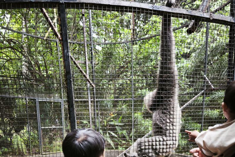 Polda Lampung giatkan pengamanan lokasi wisata pada libur Lebaran Polda Lampung giatkan pengamanan lokasi wisata pada libur Lebaran