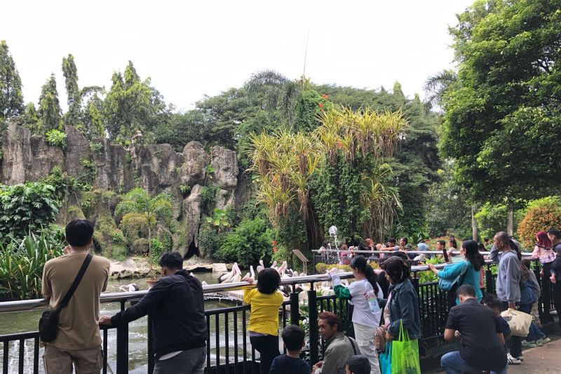 Margasatwa Ragunan dipadati ribuan pengunjung di H+1 Lebaran