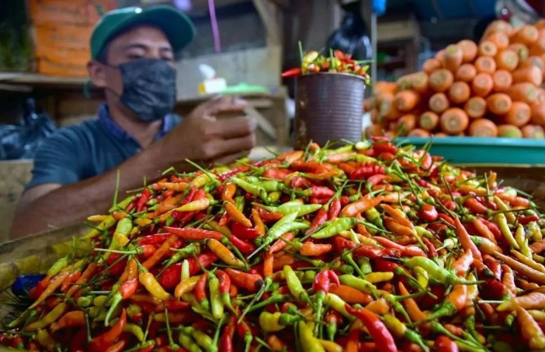 Harga pangan: Cabai rawit merah Rp68.961/kg, telur ayam Rp30.152/kg Harga pangan: Cabai rawit merah Rp68.961/kg, telur ayam Rp30.152/kg