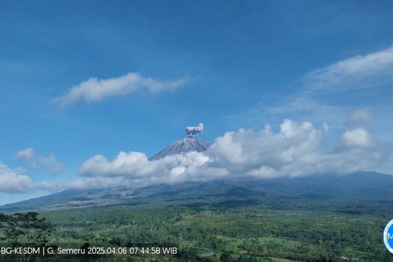 Gunung Semeru erupsi tiga kali dengan tinggi letusan hingga 600 meter Gunung Semeru erupsi tiga kali dengan tinggi letusan hingga 600 meter