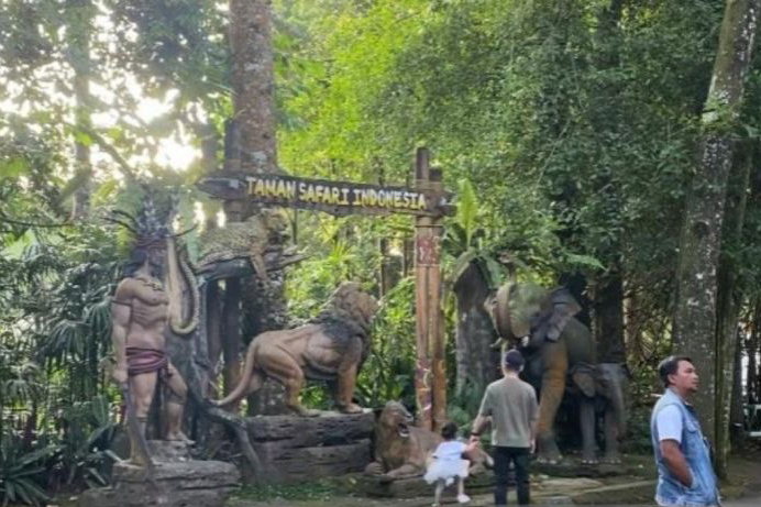 Taman Safari Indonesia tak ingin dikaitkan aduan eks pemain sirkus OCI Taman Safari Indonesia tak ingin dikaitkan aduan eks pemain sirkus OCI
