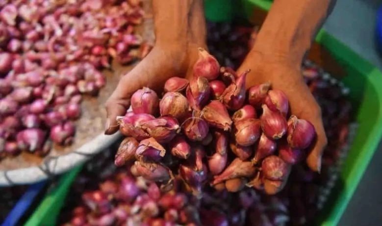 Bapanas: Bawang merah Rp42.267/kg dan cabai rawit Rp73.733/kg Bapanas: Bawang merah Rp42.267/kg dan cabai rawit Rp73.733/kg