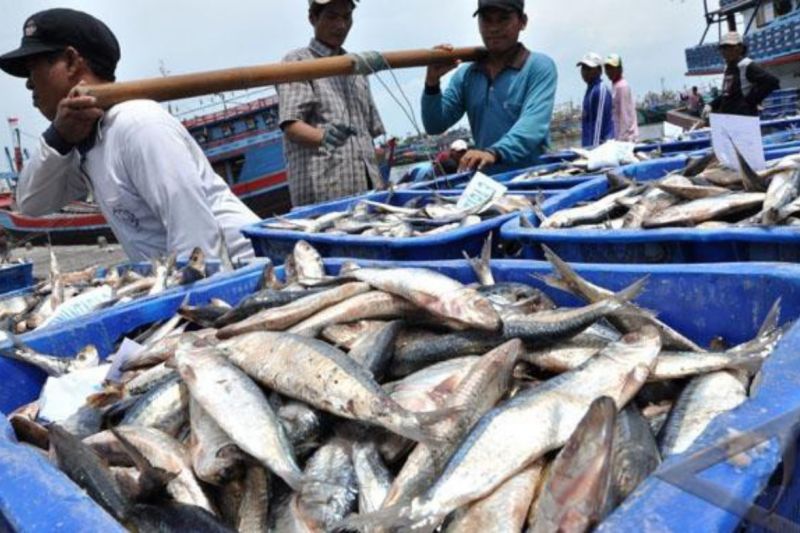 Pemkot Bontang majukan industri pengalengan ikan
